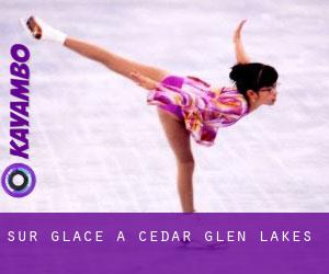 Sur glace à Cedar Glen Lakes