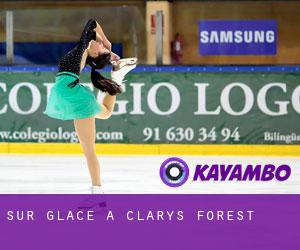 Sur glace à Clarys Forest