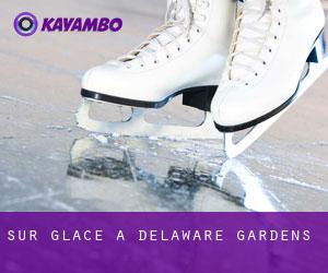 Sur glace à Delaware Gardens