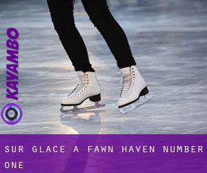 Sur glace à Fawn Haven Number One