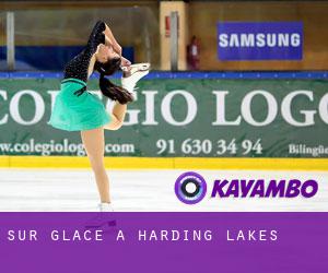 Sur glace à Harding Lakes
