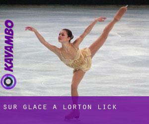 Sur glace à Lorton Lick