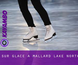Sur glace à Mallard Lake North