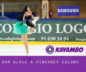 Sur glace à Pinckney Colony