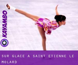 Sur glace à Saint-Étienne-le-Molard