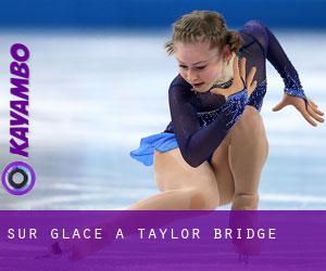 Sur glace à Taylor Bridge