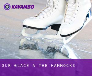 Sur glace à The Hammocks