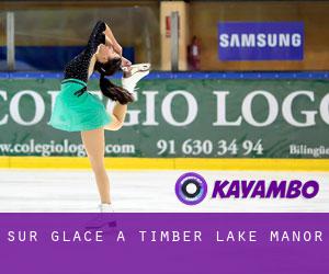 Sur glace à Timber Lake Manor