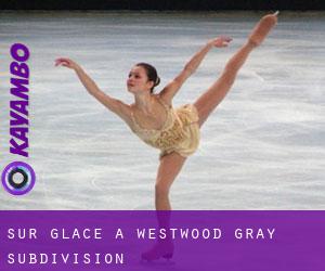 Sur glace à Westwood-Gray Subdivision