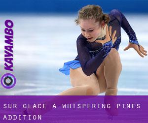Sur glace à Whispering Pines Addition