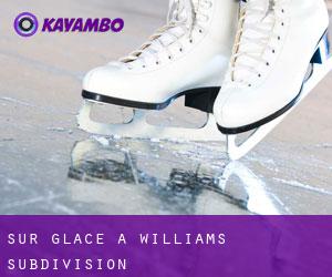 Sur glace à Williams Subdivision