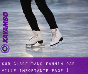 Sur glace dans Fannin par ville importante - page 1