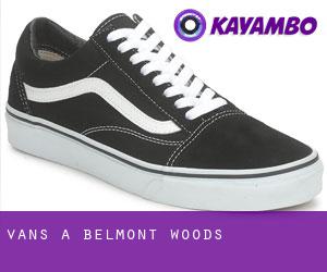 Vans à Belmont Woods