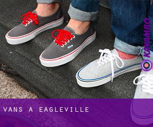 Vans à Eagleville