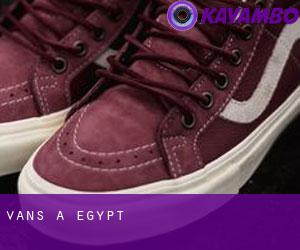 Vans à Egypt