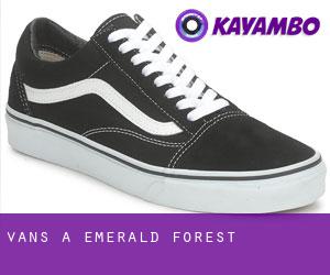 Vans à Emerald Forest