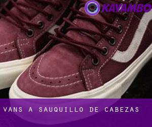 Vans à Sauquillo de Cabezas