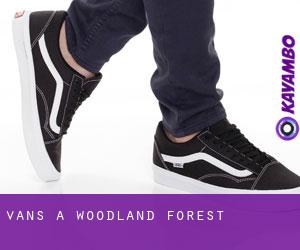 Vans à Woodland Forest