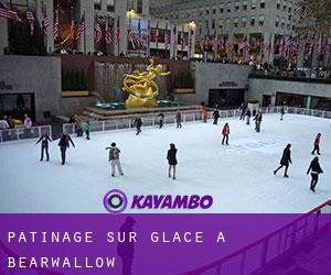 Patinage sur glace à Bearwallow