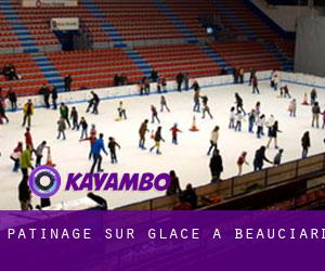 Patinage sur glace à Beauciard