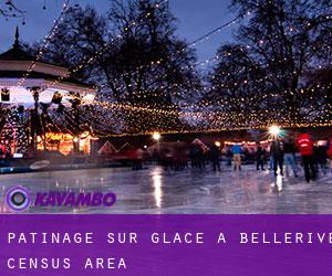 Patinage sur glace à Bellerive (census area)