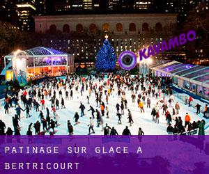 Patinage sur glace à Bertricourt