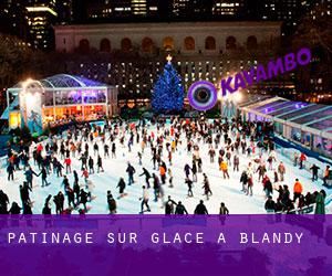 Patinage sur glace à Blandy