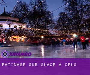 Patinage sur glace à Cels