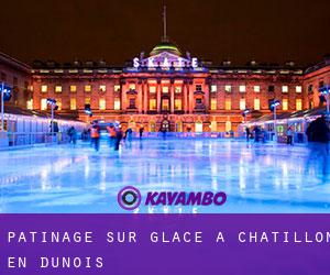 Patinage sur glace à Châtillon-en-Dunois