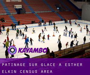 Patinage sur glace à Esther-Elkin (census area)