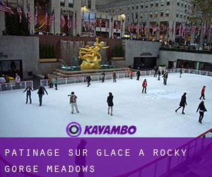 Patinage sur glace à Rocky Gorge Meadows