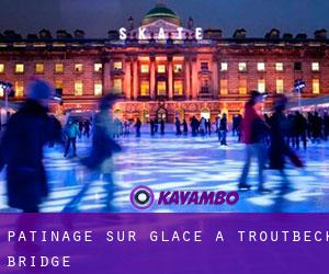 Patinage sur glace à Troutbeck Bridge