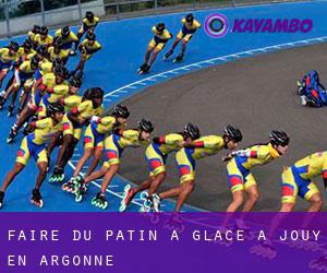 Faire du patin à glace à Jouy-en-Argonne