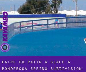 Faire du patin à glace à Ponderosa Spring Subdivision