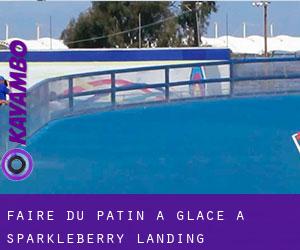 Faire du patin à glace à Sparkleberry Landing