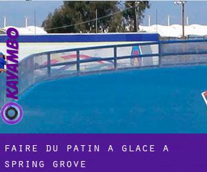 Faire du patin à glace à Spring Grove