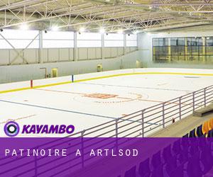 Patinoire à Artlsöd