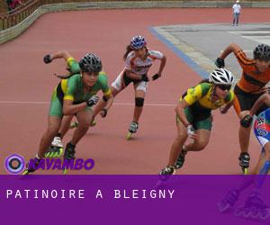 Patinoire à Bleigny