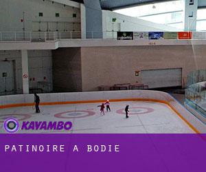 Patinoire à Bodie