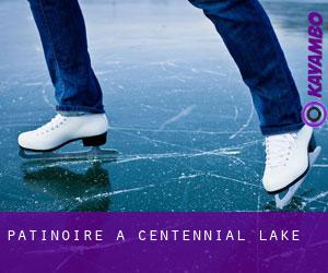 Patinoire à Centennial Lake