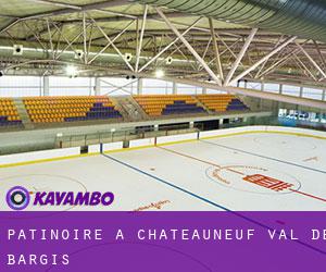 Patinoire à Châteauneuf-Val-de-Bargis