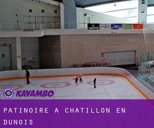 Patinoire à Châtillon-en-Dunois