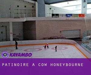 Patinoire à Cow Honeybourne