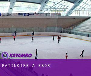 Patinoire à Ebor