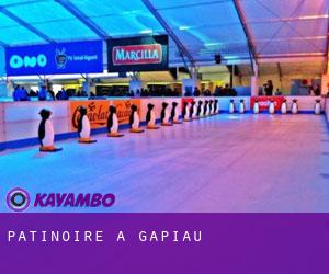 Patinoire à Gapiau