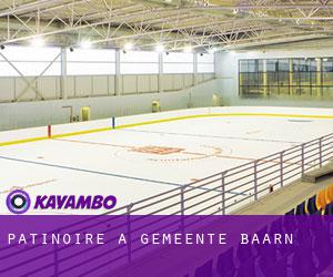 Patinoire à Gemeente Baarn