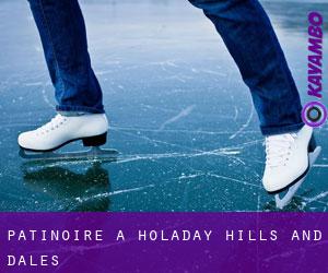 Patinoire à Holaday Hills and Dales