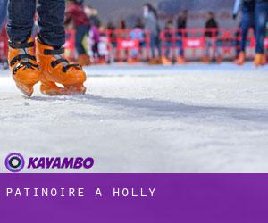 Patinoire à Holly