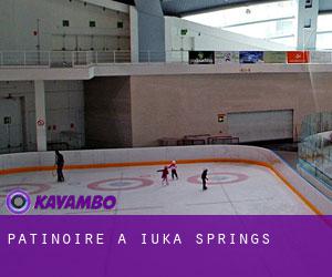 Patinoire à Iuka Springs