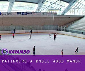 Patinoire à Knoll Wood Manor